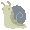 Snail Bullet Medium